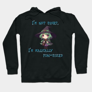 I'm Not Short  I;m Magically Fun-Size Hoodie